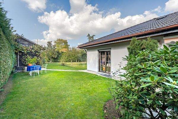 Eingewachsener Gartenbereich