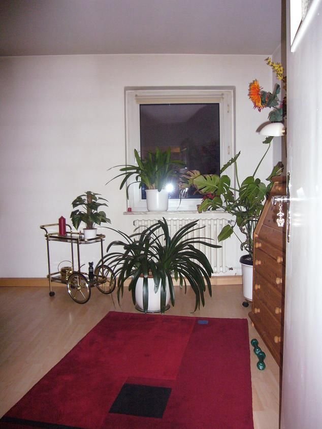 3 Zimmer Wohnung in Düsseldorf (Oberbilk)