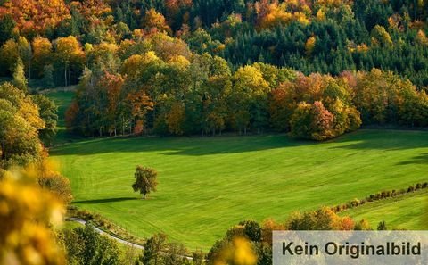 Gößweinstein / Behringersmühle Bauernhöfe, Landwirtschaft, Gößweinstein / Behringersmühle Forstwirtschaft