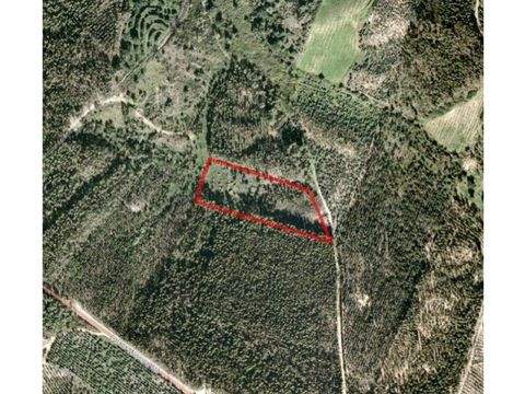 Rio Maior Grundstücke, Rio Maior Grundstück kaufen